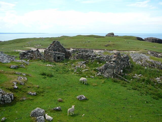 SHG24428_14.JPG
