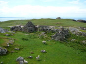 SHG24428_14.JPG
