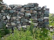SHG24428_17.JPG