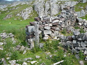 SHG24428_18.JPG