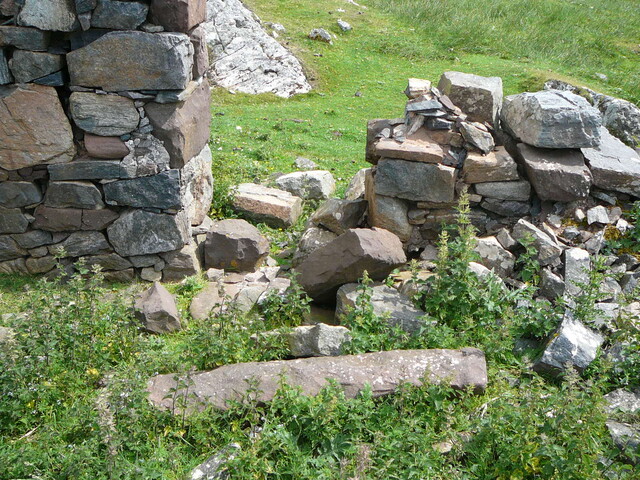 SHG24428_27.JPG