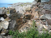 SHG24428_28.JPG