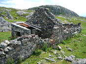 SHG24428_29.JPG