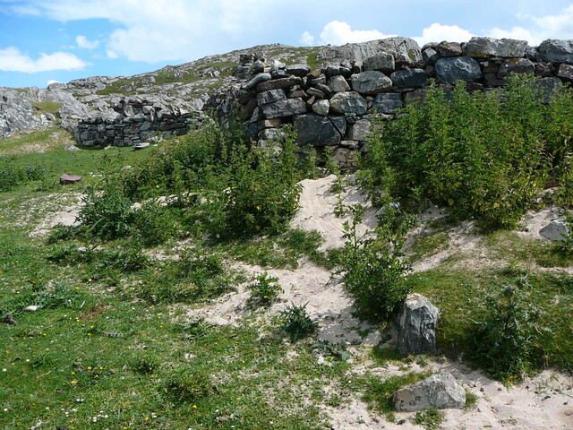 SHG24428_33.JPG