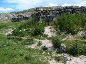 SHG24428_33.JPG