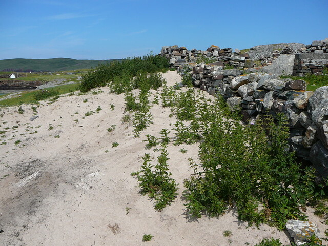SHG24428_35.JPG