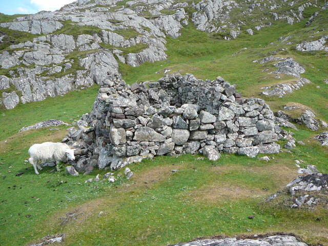 SHG24428_36.JPG