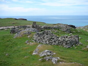 SHG24428_37.JPG