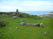 SHG24428_39.JPG