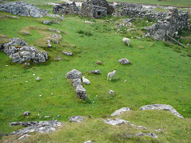 SHG24428_40.JPG