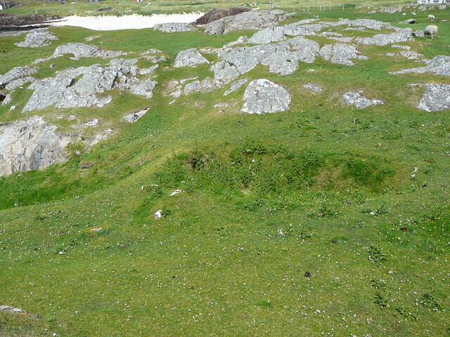 SHG24428_41.JPG