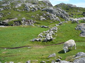 SHG24428_45.JPG