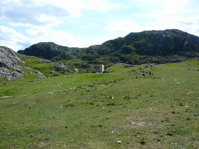 SHG24428_49.JPG