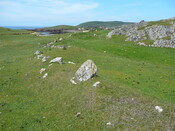 SHG24428_52.JPG