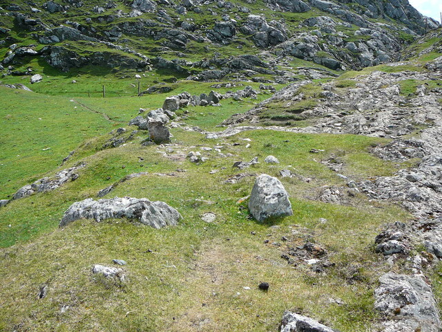 SHG24428_53.JPG