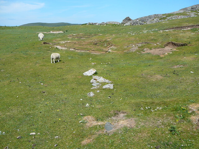 SHG24428_54.JPG