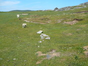 SHG24428_54.JPG