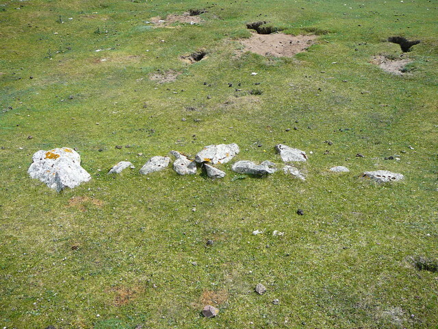 SHG24428_55.JPG