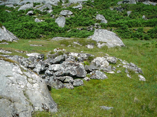 SHG24428_65.JPG