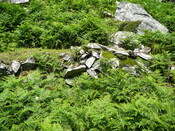 SHG24428_67.JPG