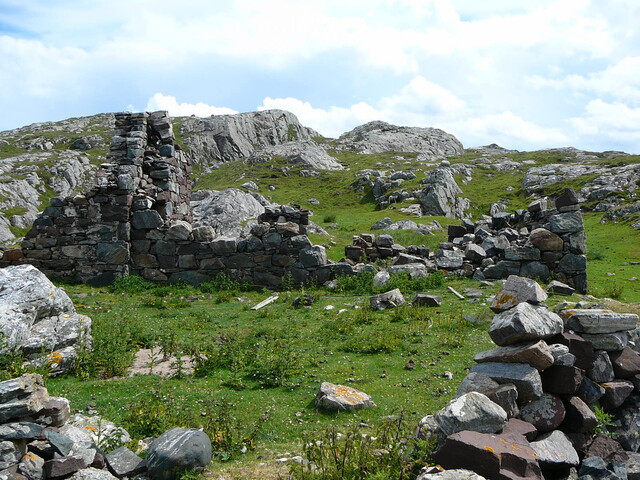 SHG24428_8.JPG