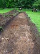DOR-004.JPG