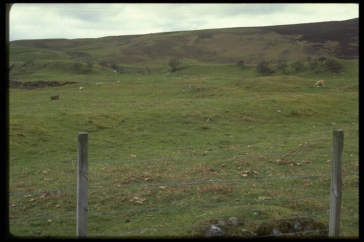 354.JPG