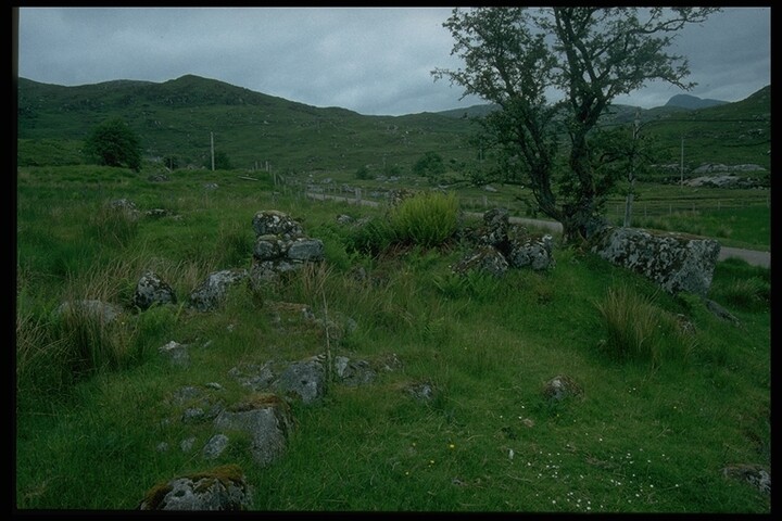 356.JPG