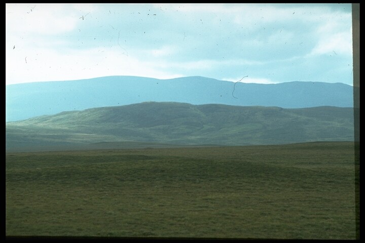 359.JPG