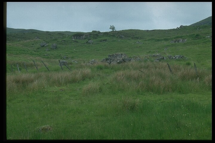 361.JPG