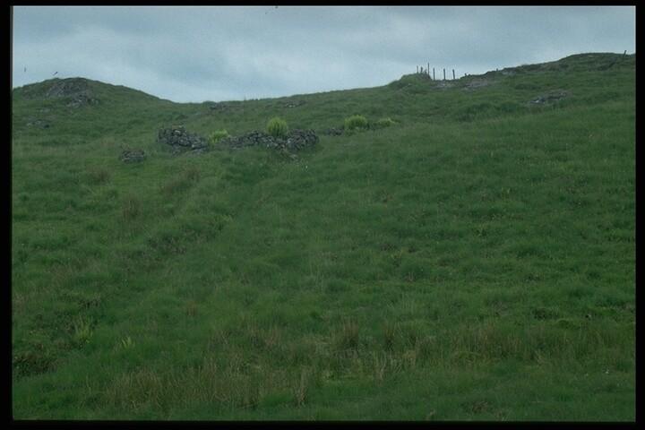 366.JPG