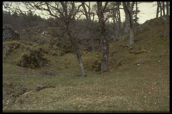 376.JPG