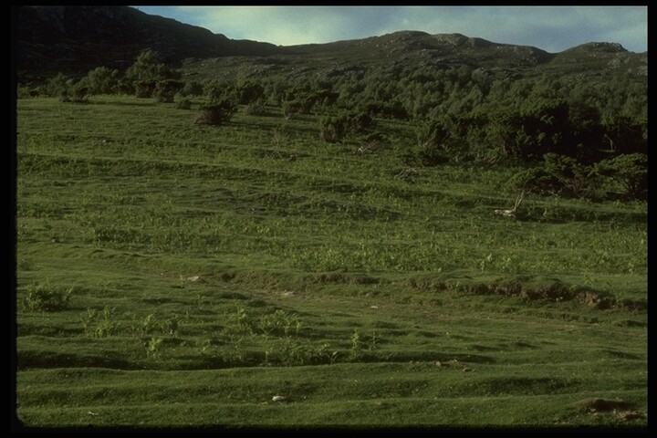 378.JPG