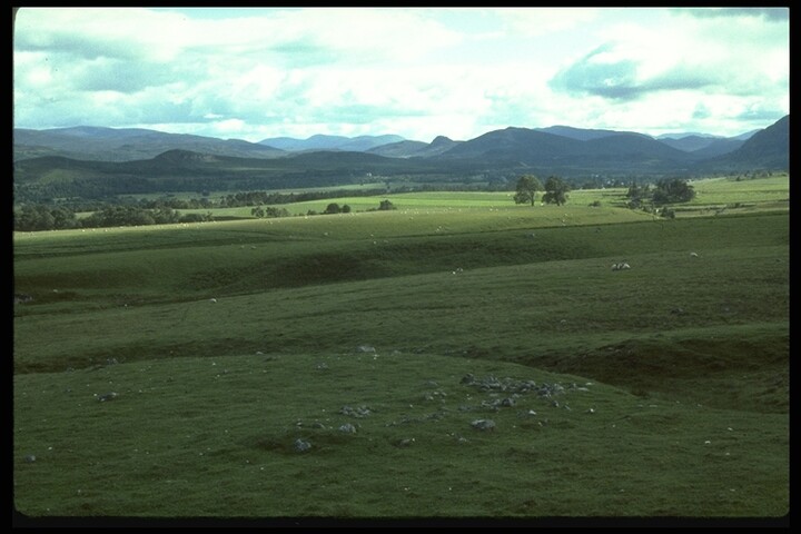 395.JPG