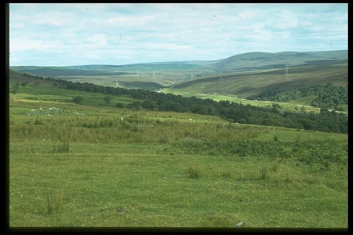 397.JPG