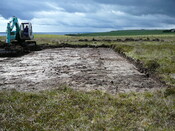 SHG24440_10.JPG
