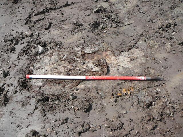 SHG24440_13.JPG