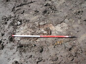 SHG24440_13.JPG