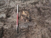SHG24440_14.JPG