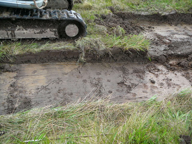 SHG24440_17.JPG