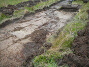 SHG24440_18.JPG