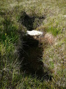 SHG24440_3.JPG