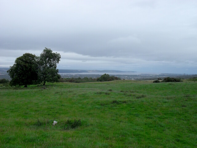 SDC10007.jpg