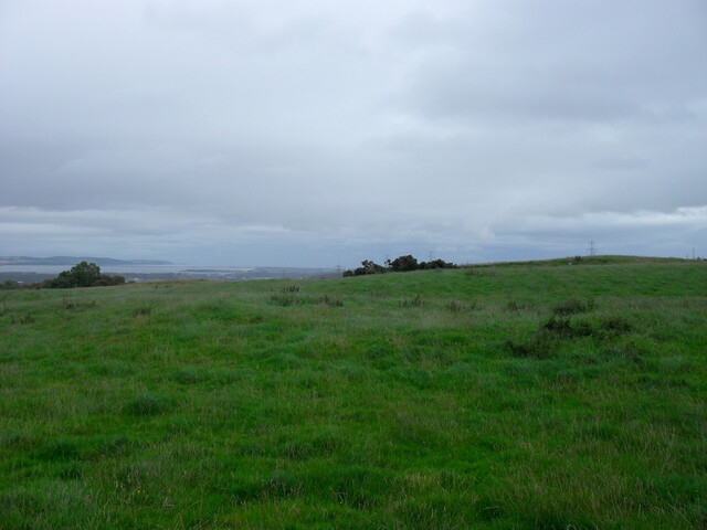 SDC10008.jpg