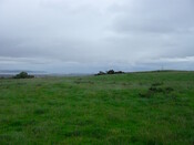SDC10008.jpg