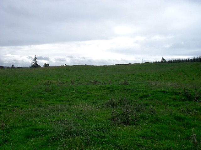 SDC10012.jpg