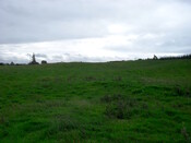 SDC10012.jpg