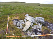Picture 003.jpg