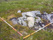 Picture 004.jpg