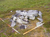 Picture 005.jpg